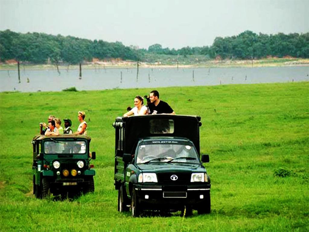 Nature Resort - Yala Safari Village Tissamaharama Exterior foto