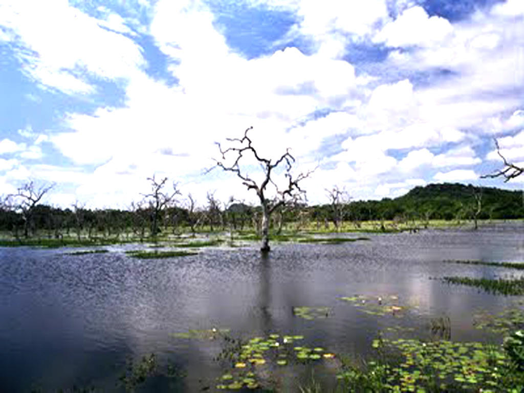 Nature Resort Tissamaharama Exterior foto